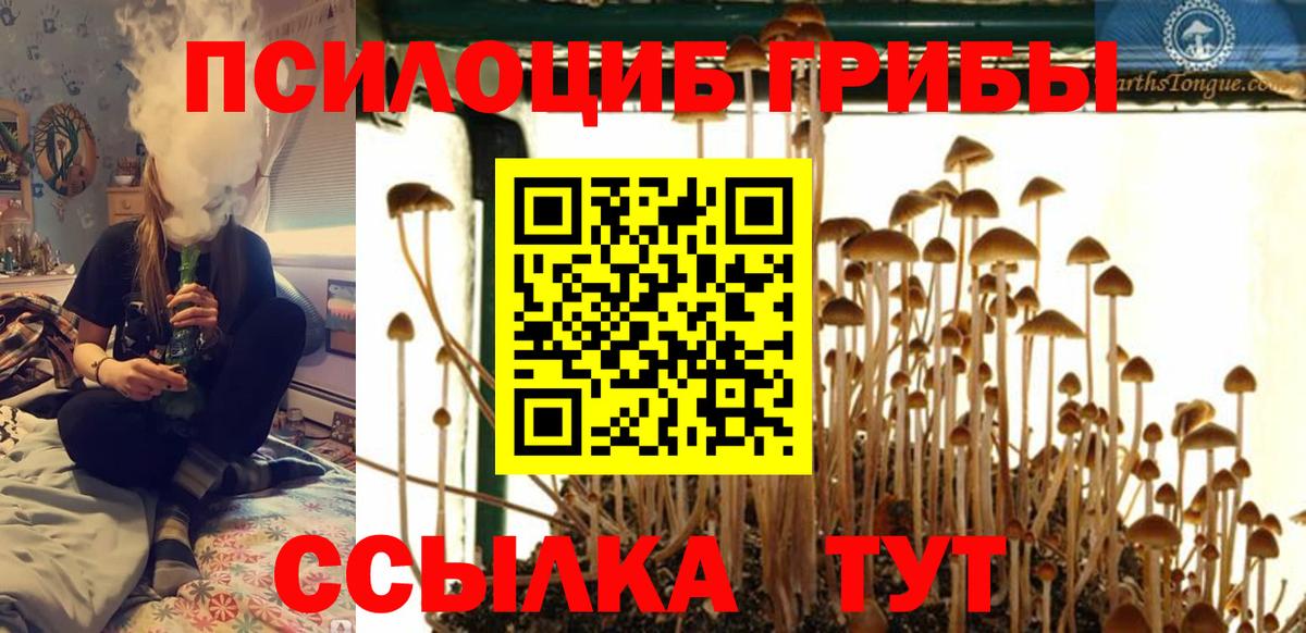 Галлюциногенные грибы мицелий Псков