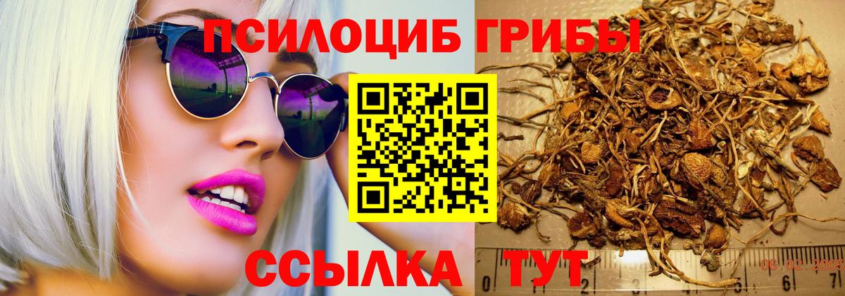 Галлюциногенные грибы GOLDEN TEACHER  Вход с VPN  Псков 